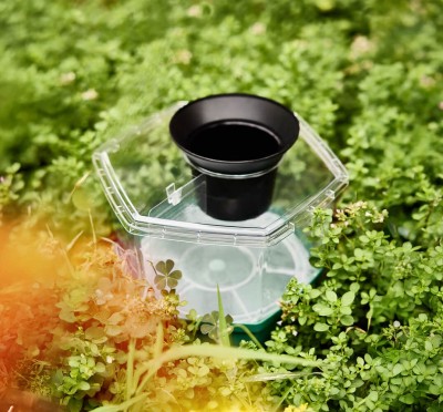 HexaCatch : piège anti-ponte moustiques tigres pour le jardin
