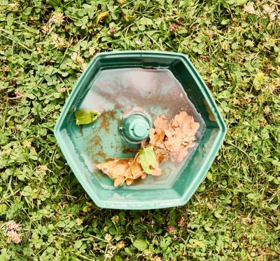 HexaCatch : piège anti-ponte moustiques tigres pour le jardin