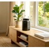 HexaSafe : piège à moustiques intérieur efficace et discret