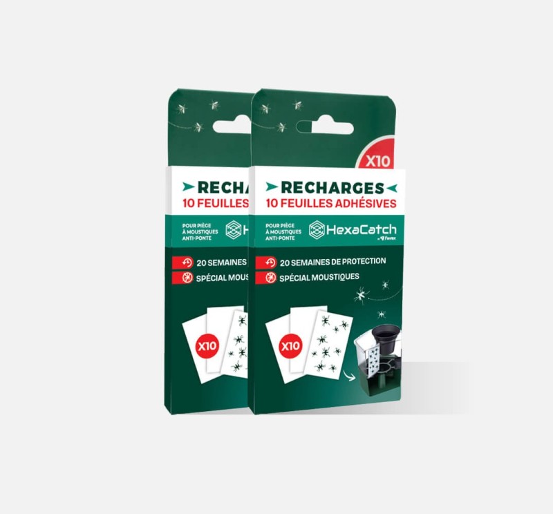 Feuilles adhésives : recharge pour pièges moustiques HexaCatch