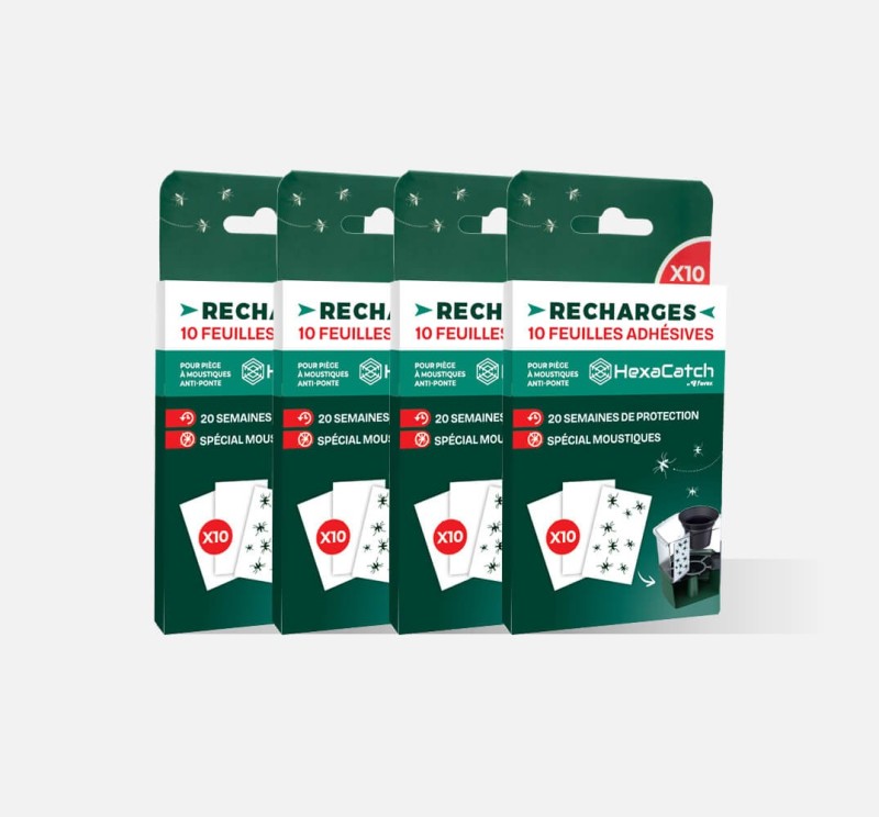 Feuilles adhésives : recharge pour pièges moustiques HexaCatch