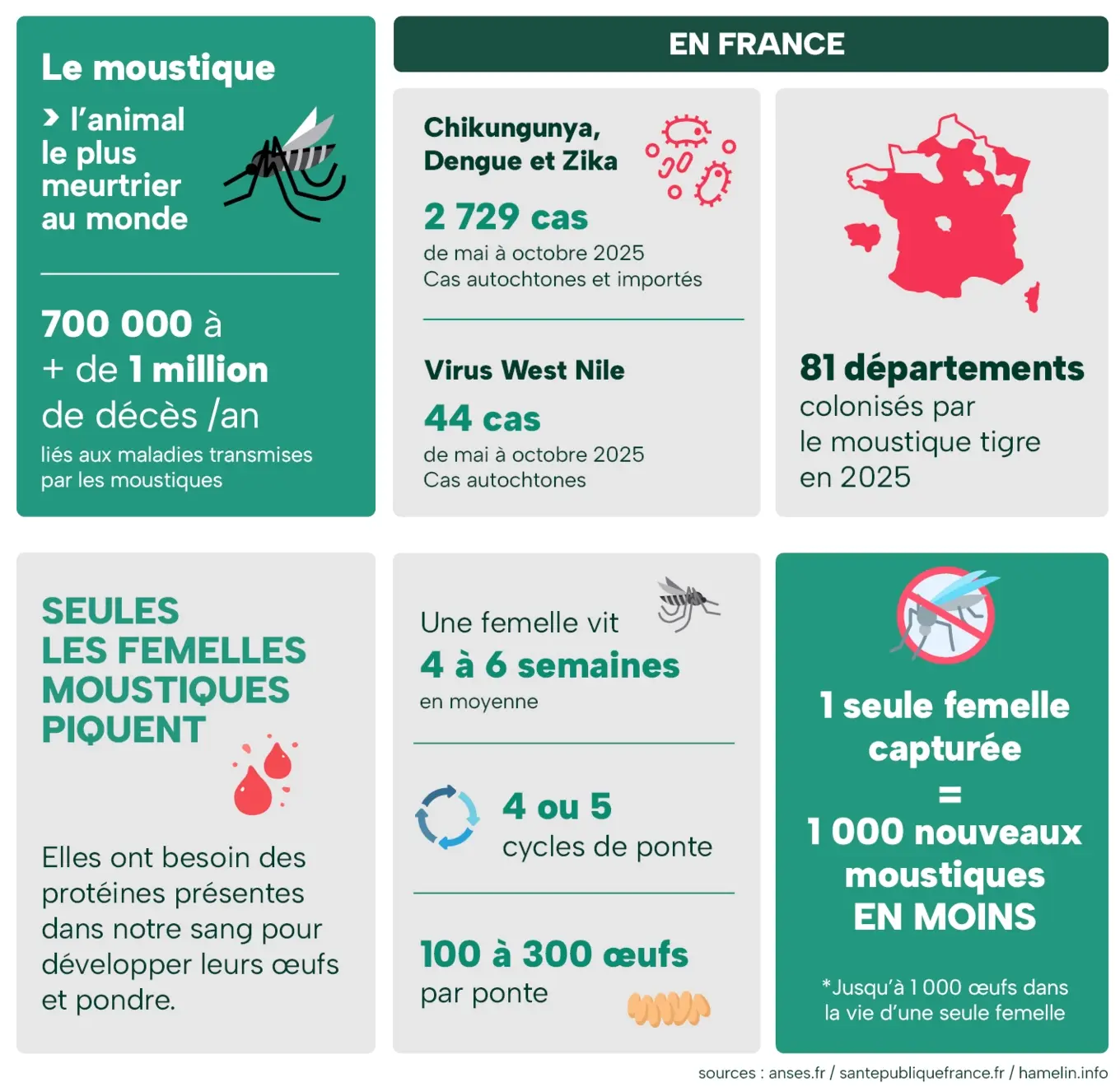Image Hexatrap fleau