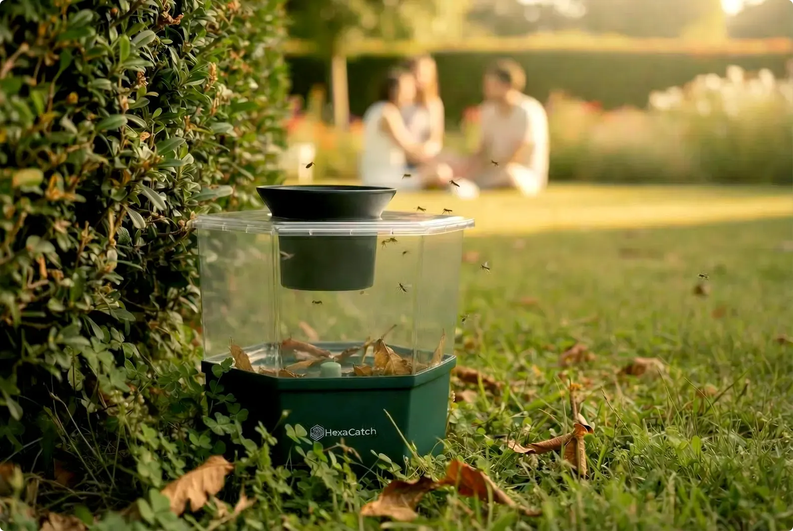 HexaCatch : pour agir à la source